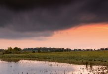 Y Dios envió… ¿polillas?