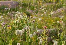 Firmes en la voluntad de Dios