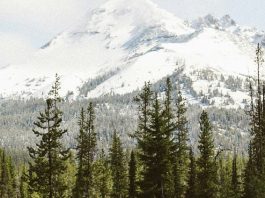 Cristo, nuestra prioridad