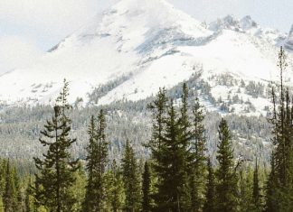 Cristo, nuestra prioridad