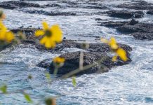 Las oraciones de una abuela