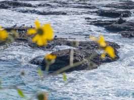 Las oraciones de una abuela