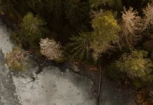 Amar mediante la oración