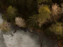 Amar mediante la oración