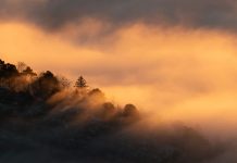 Jesús, nuestro todo