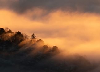 Jesús, nuestro todo