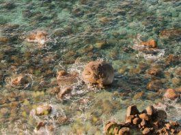 La última noche de la abuela