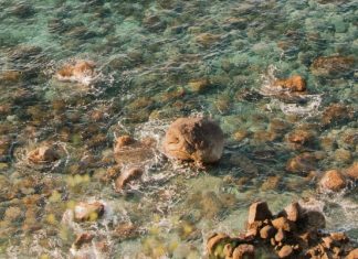 La última noche de la abuela