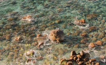La última noche de la abuela