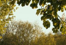 Decisiones y consecuencias