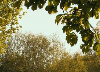 Decisiones y consecuencias