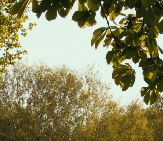 Decisiones y consecuencias