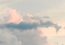 Oración desesperada