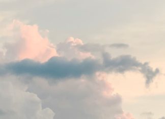 Oración desesperada