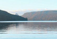 Cavando por significado