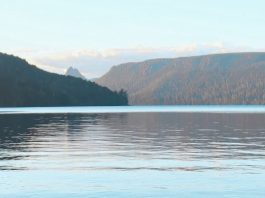 Cavando por significado