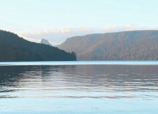 Cavando por significado