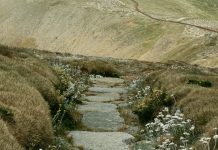 Las oraciones de Jesús