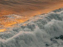 Los hábitos y el Espíritu Santo