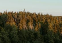 Persistir en la oración