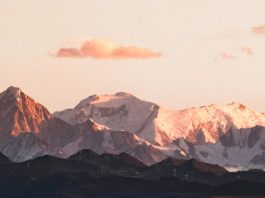 Guiados por el Espíritu Santo