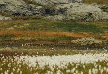 Lugar correcto, momento correcto