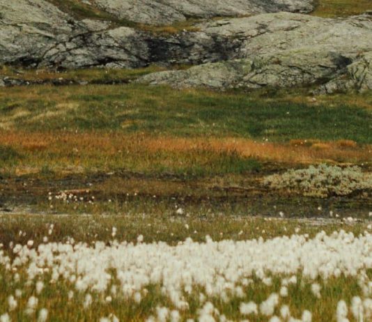 Lugar correcto, momento correcto