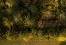 Sustentados por Dios