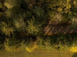 Sustentados por Dios