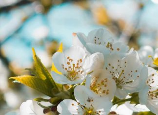 Un amigo a medianoche