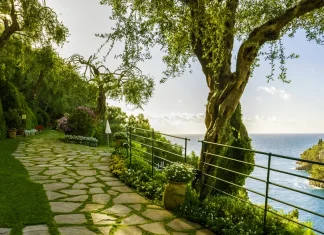 La libertad en Cristo