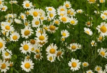 La lucha con la tentación