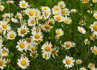 La lucha con la tentación