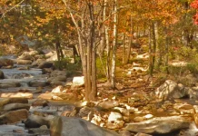 Llevar el yugo del Señor Jesucristo