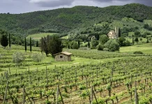 La trampa del desánimo