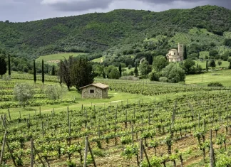 La trampa del desánimo