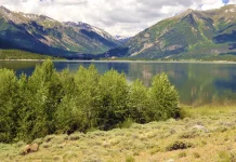 Para derrotar el desánimo