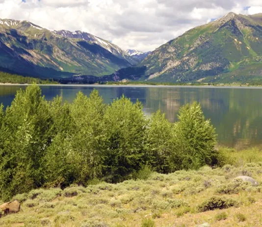 Para derrotar el desánimo