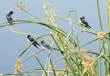 La fidelidad de Dios a lo largo de los siglos