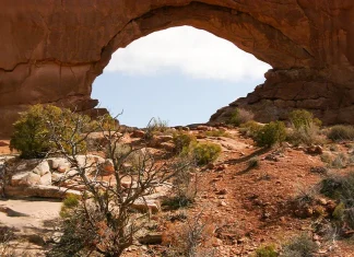Ayudar a los necesitados