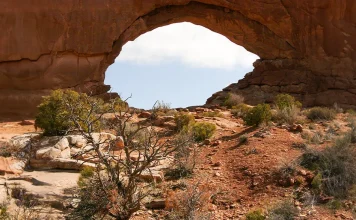 Ayudar a los necesitados