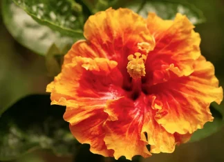 El propósito de Dios al comunicarse