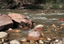 Por qué dudamos de nuestra salvación