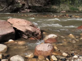 Por qué dudamos de nuestra salvación