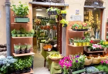 Ninguna condenación; solo amor