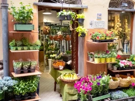 Ninguna condenación; solo amor