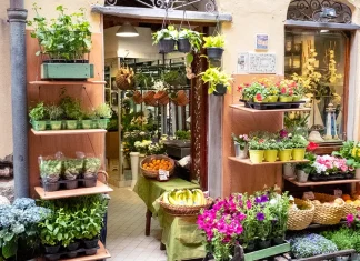 Ninguna condenación; solo amor