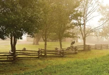 Nuestras pruebas son permitidas por Dios