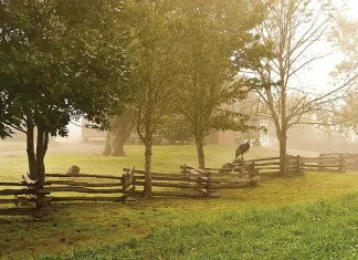 Nuestras pruebas son permitidas por Dios