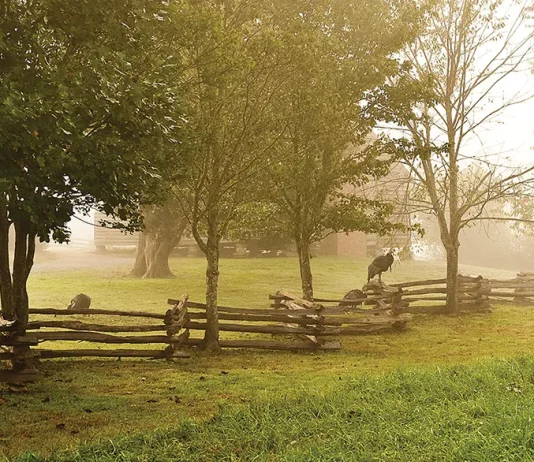 Nuestras pruebas son permitidas por Dios